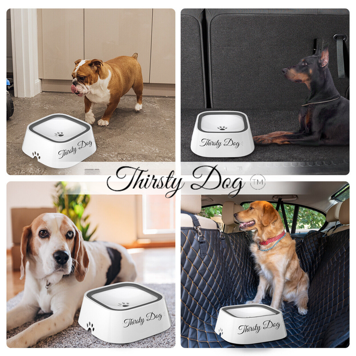 The Thirsty Dog™️ Drinking Bowl