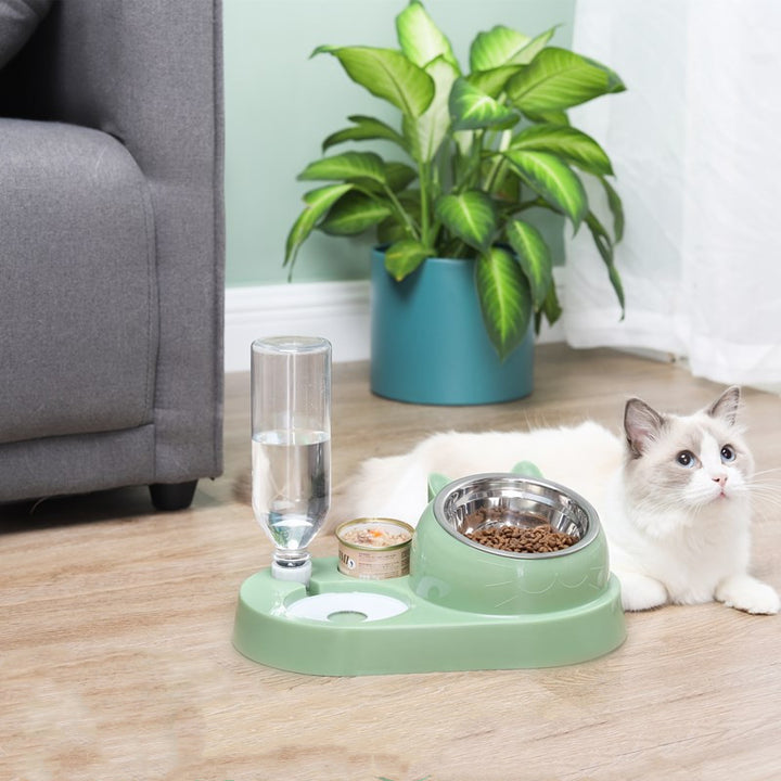 Pet Feeding & Drinking Bowl