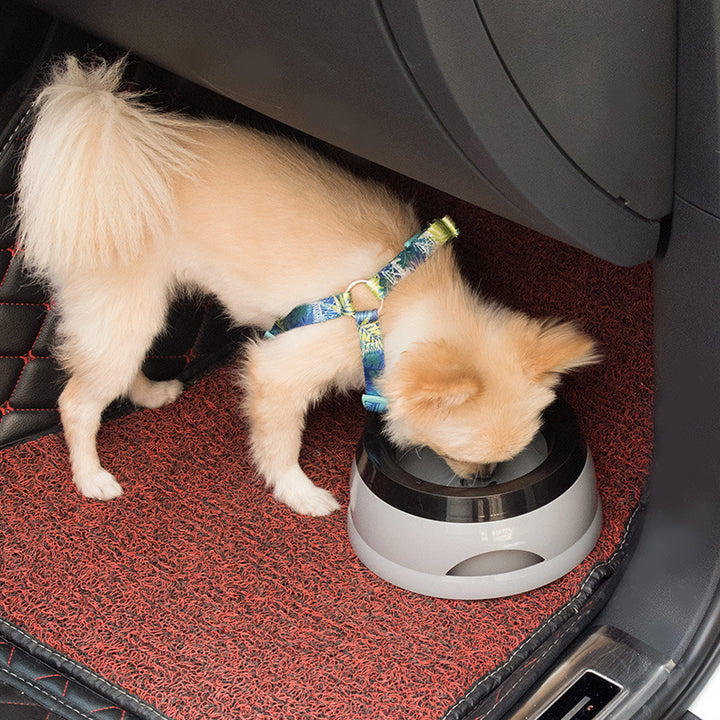 Anti-skid Dog Water Bowl