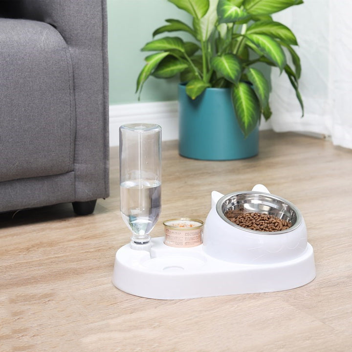 Pet Feeding & Drinking Bowl