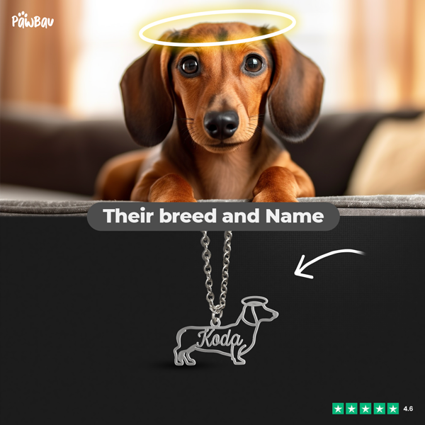 Personalized Necklace with your dog's breed and name