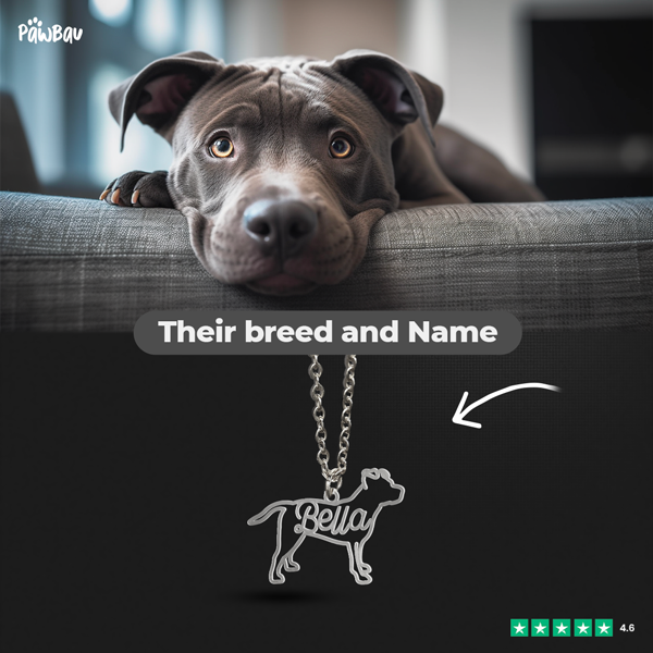 Personalized Necklace with your dog's breed and name