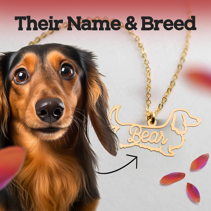 Personalized Necklace with your dog's breed and name